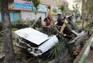 سقوط وحشتناک درخت، پراید را نصف کرد!