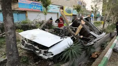 سقوط وحشتناک درخت، پراید را نصف کرد!