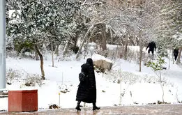 هشدار؛ پایتخت یخ می‌زند!