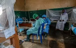 شیوع یک بیماری مشکوک با خوردن خفاش