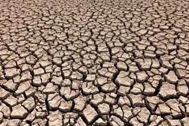 هر سال ۱ میلیون هکتار خاک ایران بیابان می‌شود