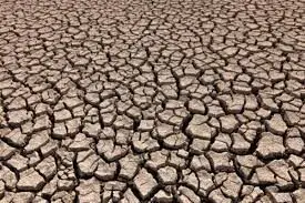 هر سال ۱ میلیون هکتار خاک ایران بیابان می‌شود