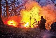 چقدر از جنگل الیت چالوس سوخته است؟