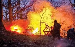 چقدر از جنگل الیت چالوس سوخته است؟