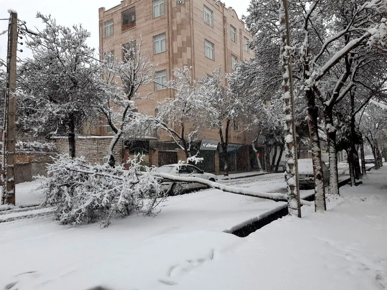 فیلم هولناک از مرگ یک شهروند به دلیل برف+ببینید