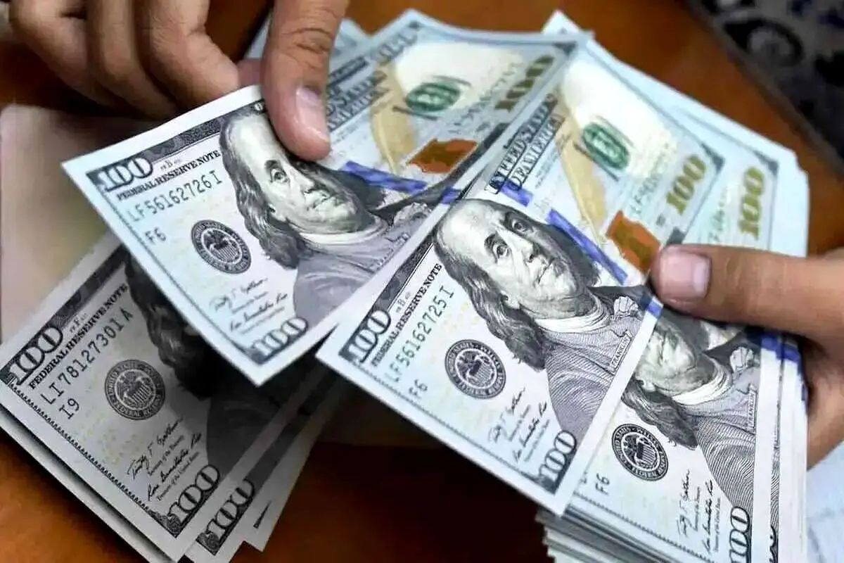  افشاگری یک اقتصاددان از نقشه دولت برای گرانی دلار / ویدئو

