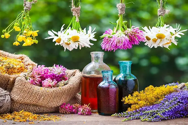 با این داروهای گیاهی سرگیجه را ضربه فنی کنید!