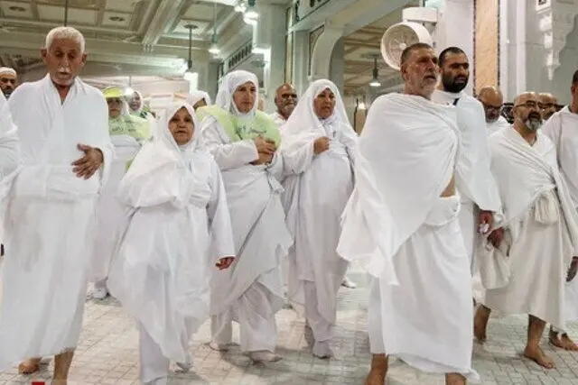 نرخ مصوب دام قربانی حجاج اعلام شد