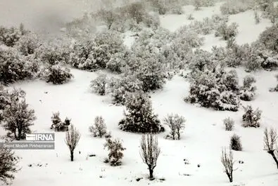 بارش برف کردستان