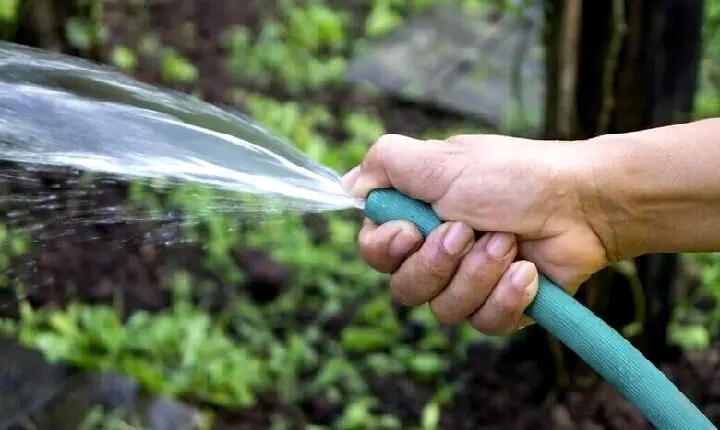 مصرف ۶۰ درصدی آب شرب توسط مشترکان بدمصرف