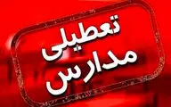 جزئیات تعطیلی مدارس به دلیل شیوع انفجاری امیکرون