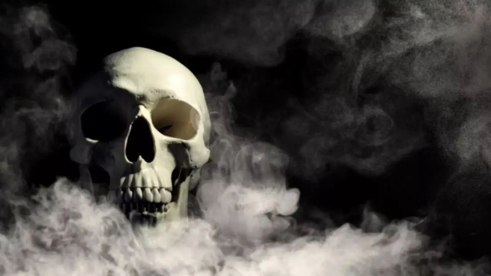 مرگبار‌ترین روز جهان چه روزی است و چگونه رقم خورد؟

