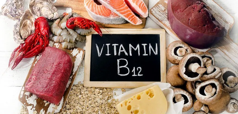 بهترین خوراکی ها برای افزایش ویتامین B12 در بدن