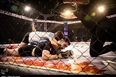 مسابقات رسمی MMA