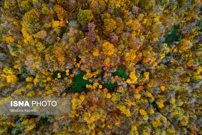 ایران زیباست؛ جایی میان پاییز و زمستان