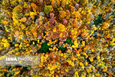 ایران زیباست؛ جایی میان پاییز و زمستان