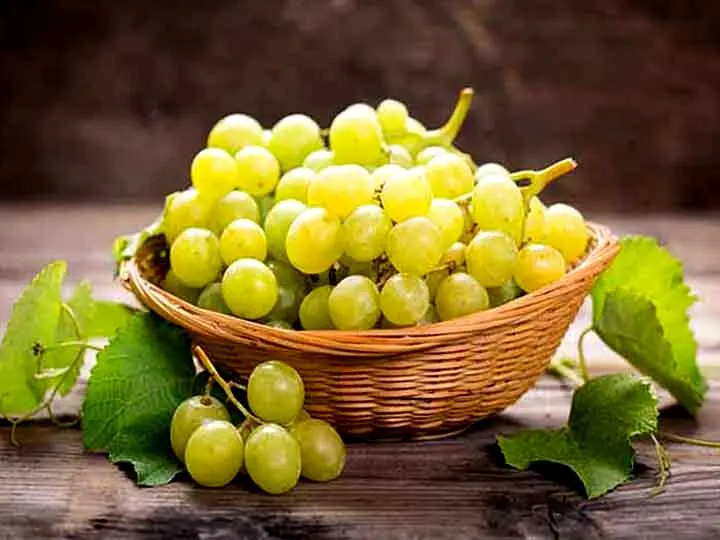 سالمندان این میوه را بخورند