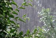 پاییز جهنمی در راه است