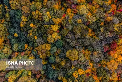 ایران زیباست؛ جایی میان پاییز و زمستان