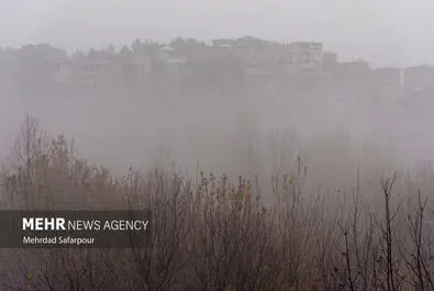 «زاینده رود» غرق در مه
