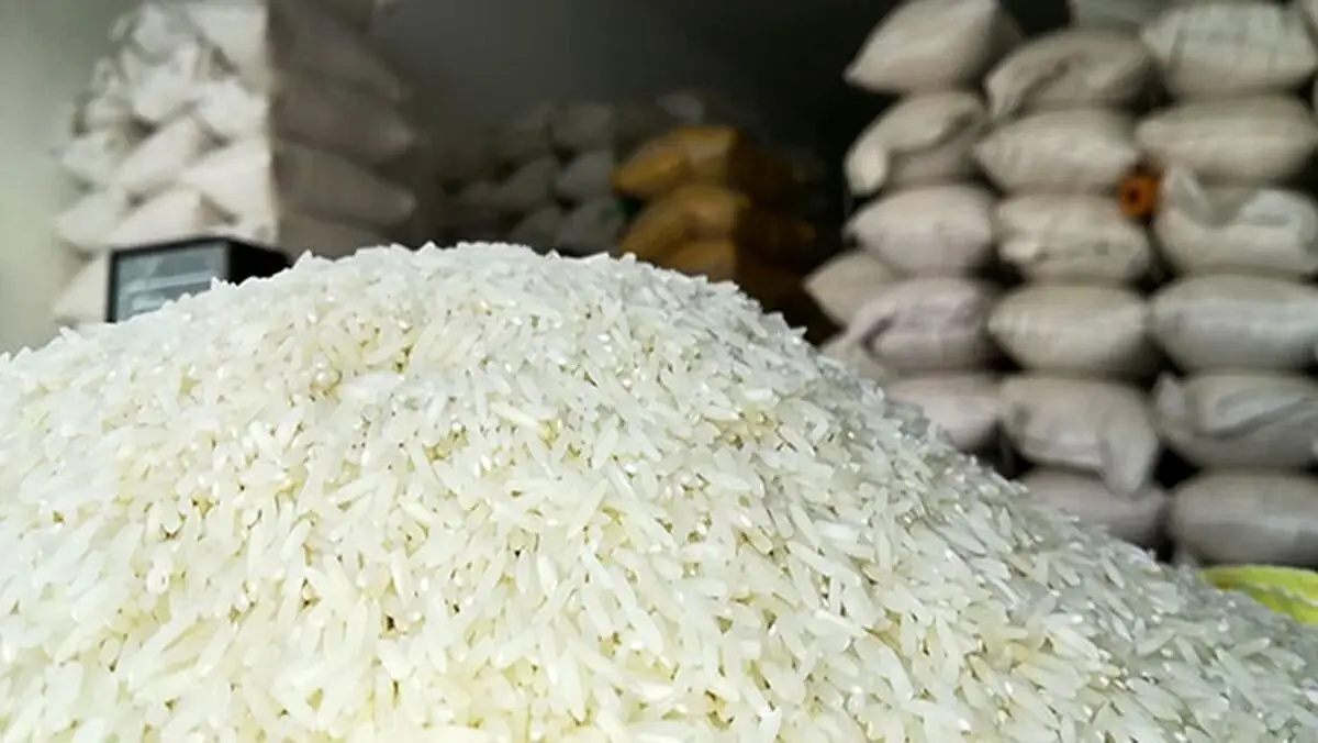 توزیع روغن و عرضه برنج وارداتی برای تنظیم بازار آغاز شد