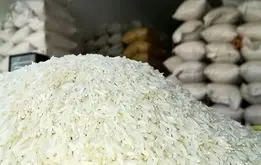 توزیع روغن و عرضه برنج وارداتی برای تنظیم بازار آغاز شد