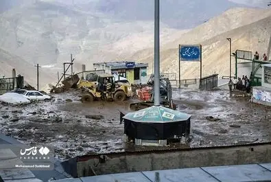 سیل در کن