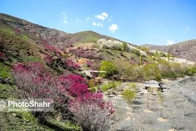دره ارغوان