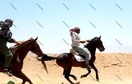 اسب چناران؛ اسبی که ناصرالدین شاه برای فتح چین به وجود آورد +عکس