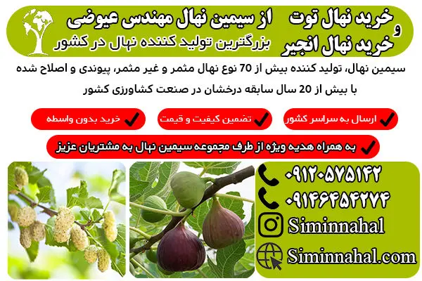 خرید نهال با میوه های پر سود
