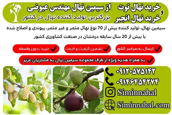 خرید نهال با میوه های پر سود
