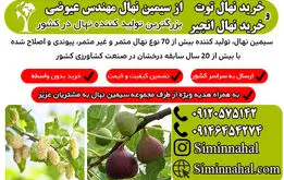 خرید نهال با میوه های پر سود
