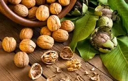 مصرف گردو خطر ابتلا به سرطان روده را کاهش می‌دهد