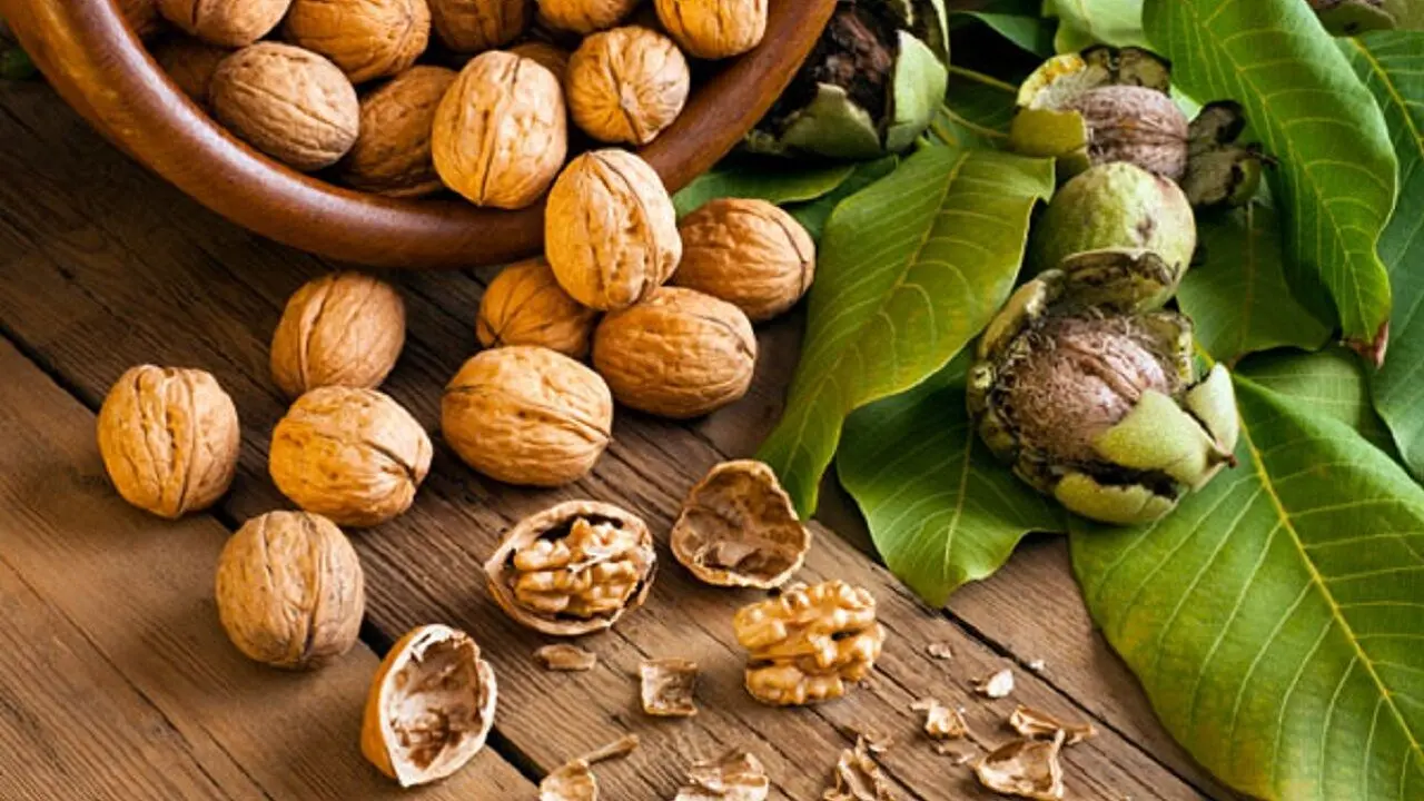 مصرف گردو خطر ابتلا به سرطان روده را کاهش می‌دهد