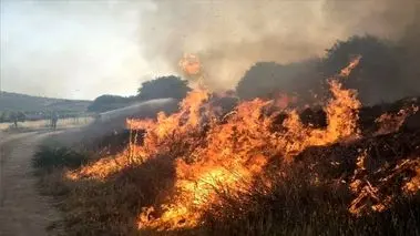 آتش‌سوزی هورالعظیم نفس خوزستانی‌ها را بند آورد