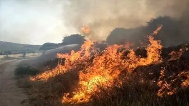 آتش‌سوزی هورالعظیم نفس خوزستانی‌ها را بند آورد