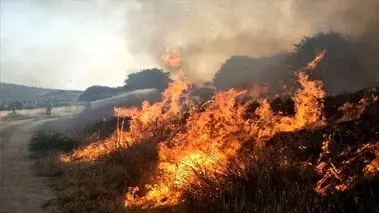 آتش‌سوزی هورالعظیم نفس خوزستانی‌ها را بند آورد