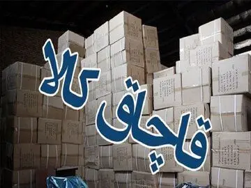 کشف ۵ میلیارد تومان انواع کالای قاچاق در جنوب تهران