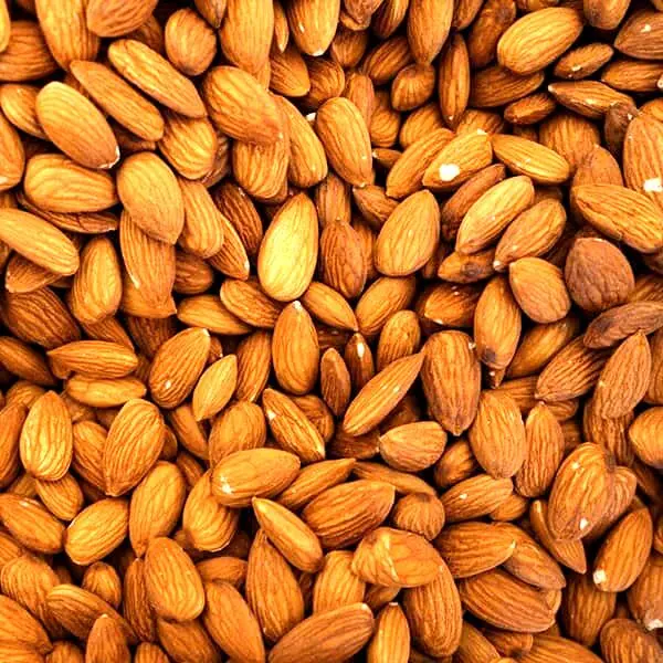 13 مورد از مهم ترین خواص و مضرات بادام برای سلامتی بدن