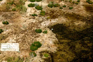 تالاب گاوخونی