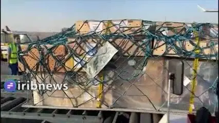 ببینید | ترسناک‌ترین محموله وارداتی به کشور؛ ۸۰ سر کروکودیل!
