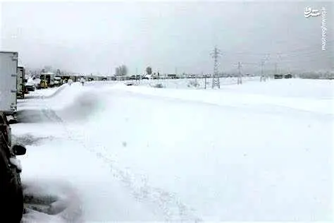 ژاپنی ها در برف گیر افتادند +فیلم
