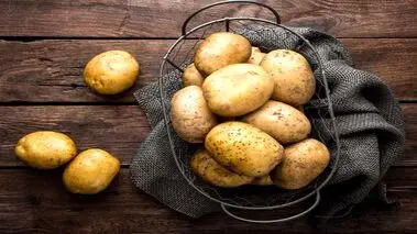 بزرگ‌ترین سیب‌زمینی جهان، گینس را فریب داد!