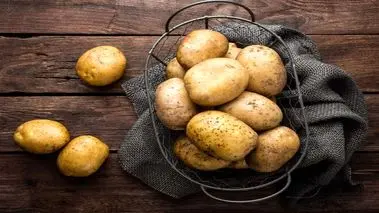 بزرگ‌ترین سیب‌زمینی جهان، گینس را فریب داد!