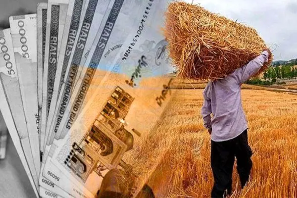 قیمت گندم از جلسه دولتی‌ها لو رفت