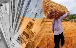 قیمت گندم از جلسه دولتی‌ها لو رفت