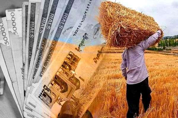 قیمت گندم از جلسه دولتی‌ها لو رفت