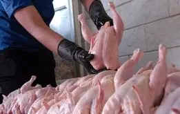 قیمت گوشت مرغ امروز یکشنبه ۹ شهریور ۱۴۰۴