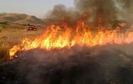 آتش‌سوزی گسترده در دامنه قله دماوند