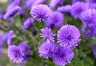 نایاب‌ترین رنگ جهان در طبیعت را بشناسید